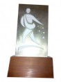 /album/trofeos-especiales/trofeo-anasac-jpg/